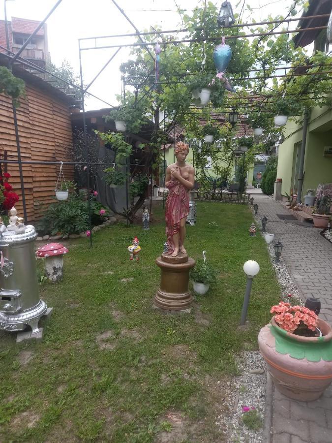 시기쇼아라 Casa Elena 아파트 외부 사진