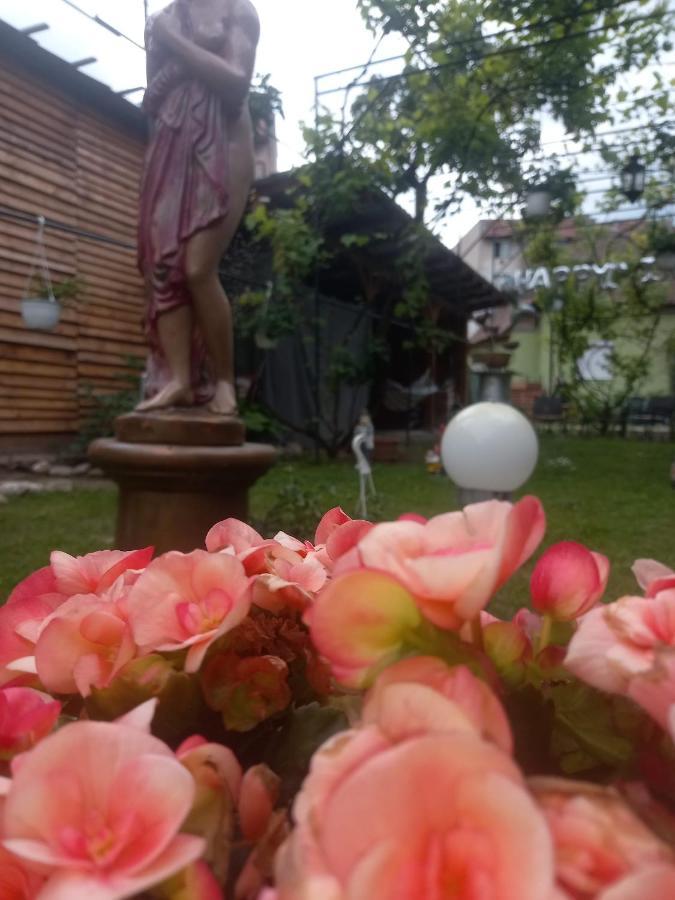 시기쇼아라 Casa Elena 아파트 외부 사진